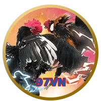 97VN