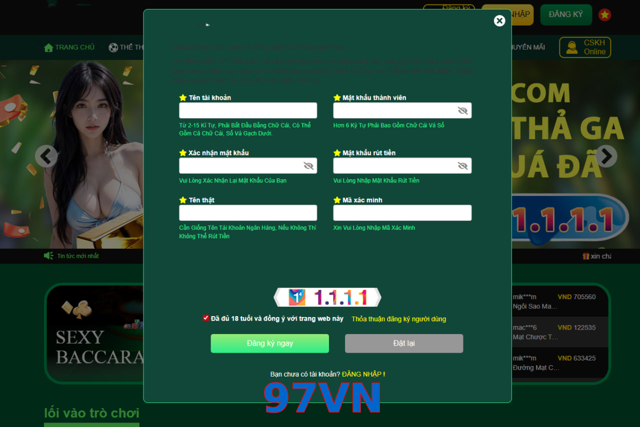 97VN